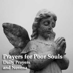 Catholic Devotional Prayers and Novenas - Mp3 Audio Downloads and Text 16