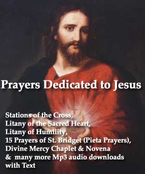 Catholic Devotional Prayers and Novenas - Mp3 Audio Downloads and Text 12