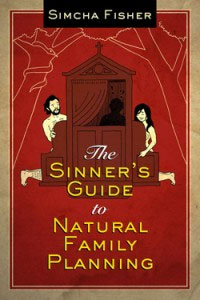 Sinner's-Guide