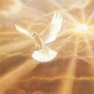 Novena to the Holy Spirit Day 2 - Discerning Hearts 2