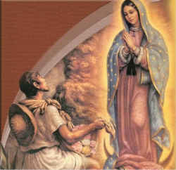 Novena to Our Lady of Guadalupe Day 3 – Discerning Hearts Podcast