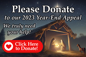 Advent Donation 2023 Small